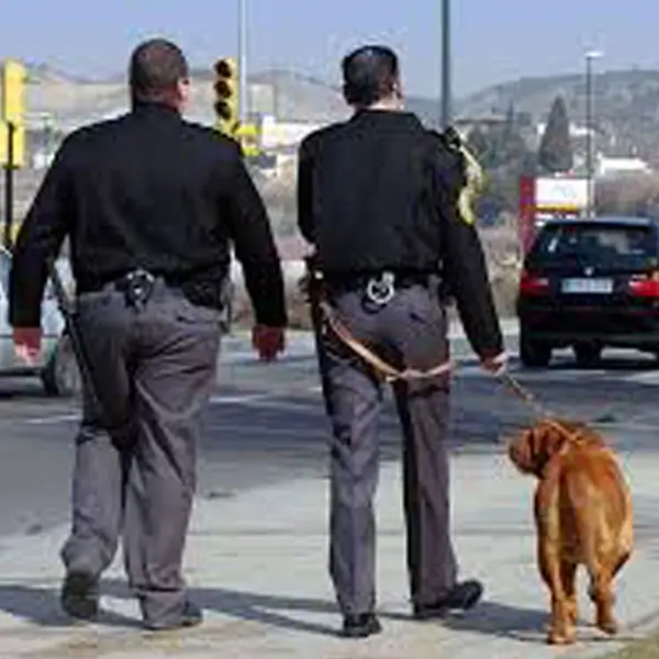 Curso vigilancia con perros